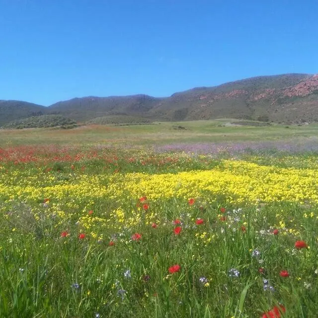 Lodge La Belleza De Rodalquilar Spain